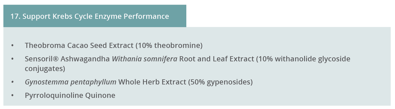 Image 17. Support Krebs Cycle Enzyme Performance