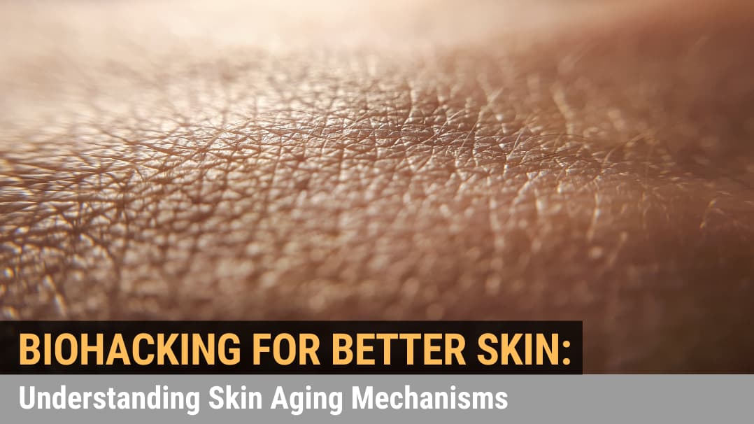 Biohacking for Better Skin: Understanding Skin Aging Mechanisms