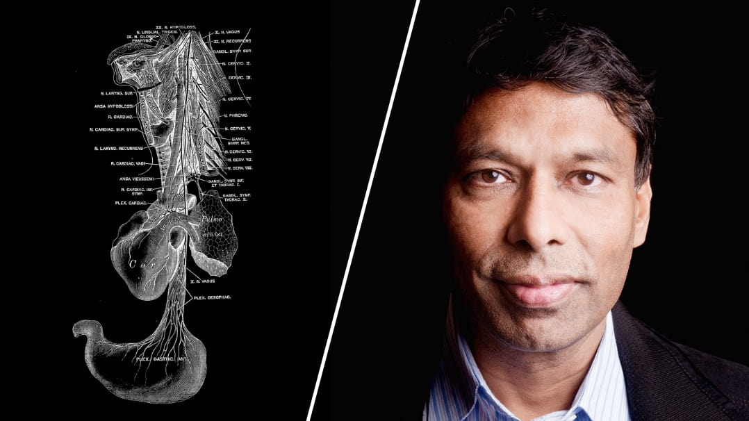  How Our Second Brain Affects Mood, Immune Function, and Cognition: A Q&A With Naveen Jain