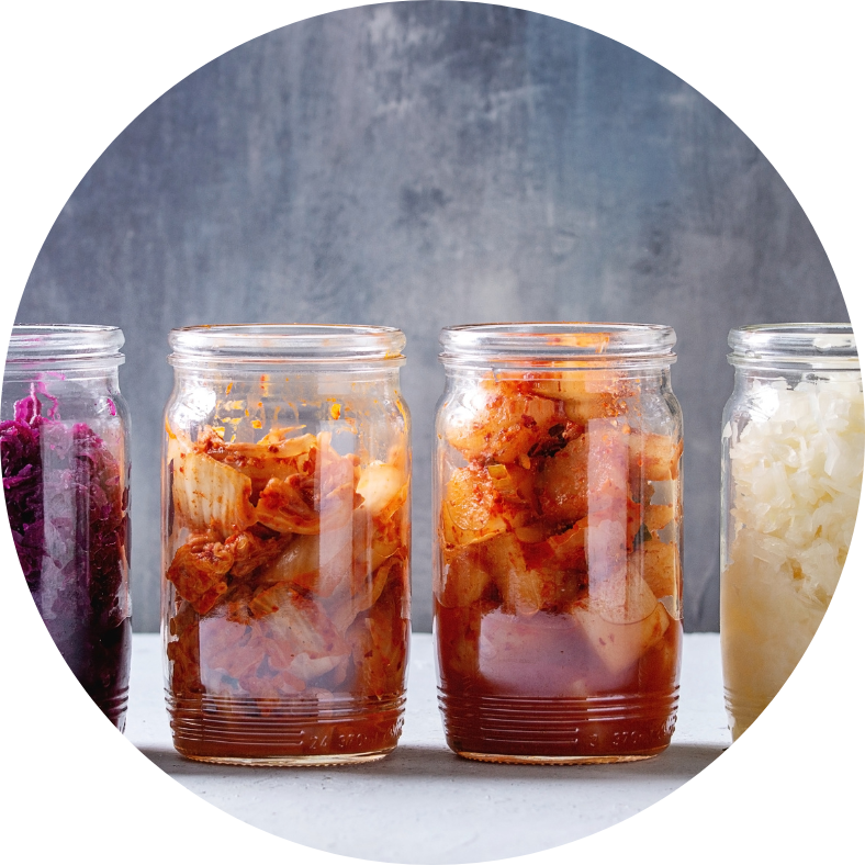 Fermented Food Postbiotic