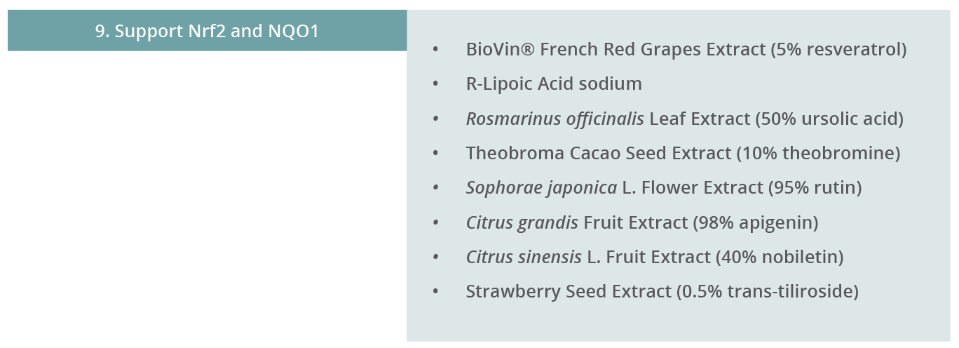 Image 9. Support Nrf2 and NQO1