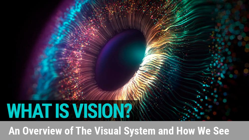 What is Vision?