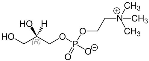 Alpha-glycerophosphocholine (Alpha-GPC)