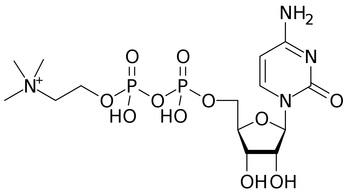 Cognizin® Citicoline