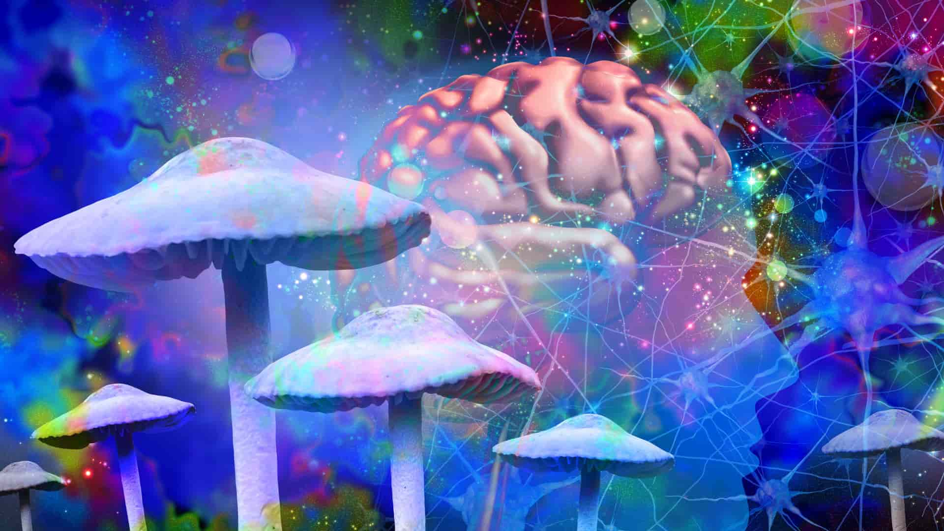 Microdosing Psychedelics: What Does It Mean & Is It Safe? What Science Says - An Interview With Paul Austin