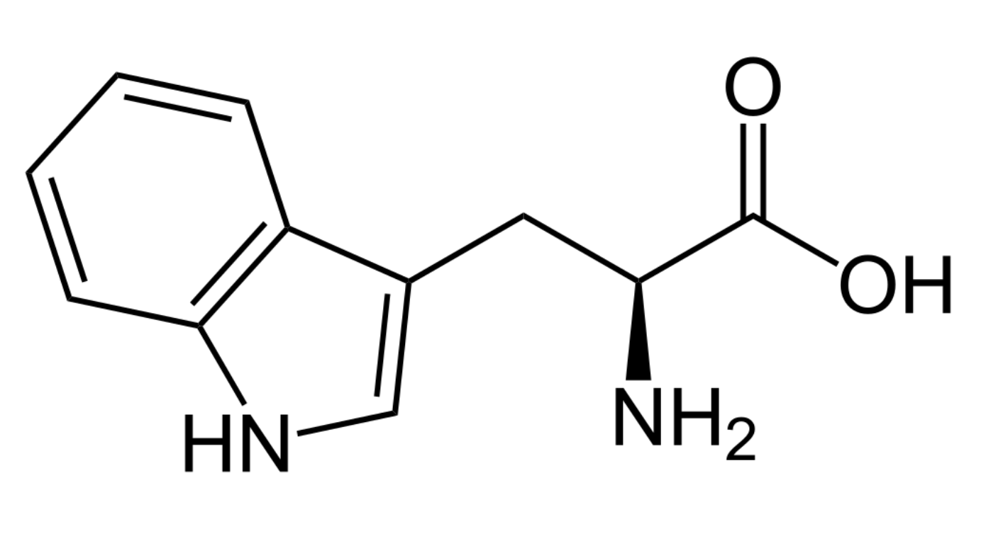 L-Tryptophan