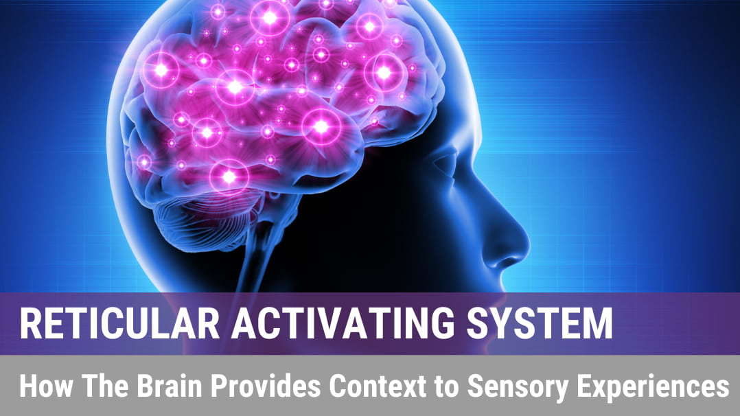 Reticular Activating System: How The Brain Manages Energy With Selective Focus