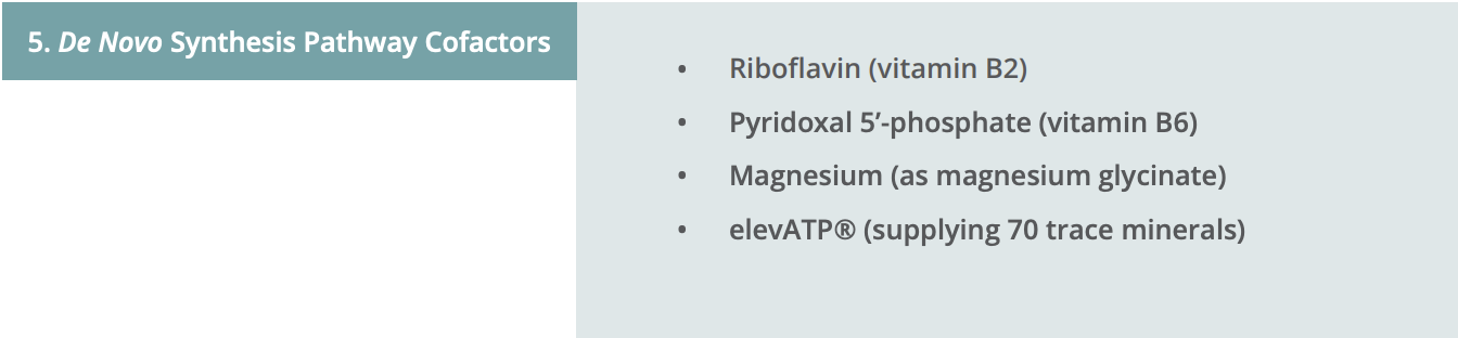 Image 5. De Novo Synthesis Pathway Cofactors