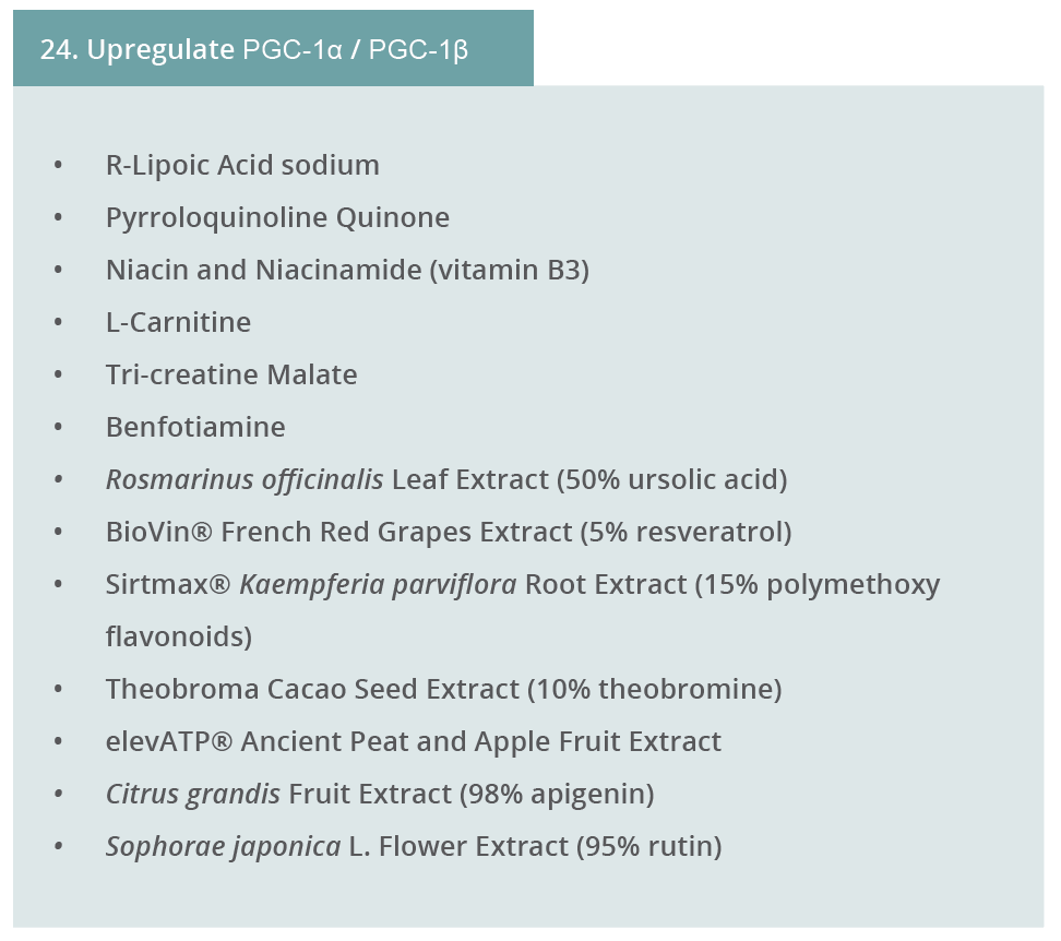 Image 24. Upregulate PGC-1α/PGC-1β 